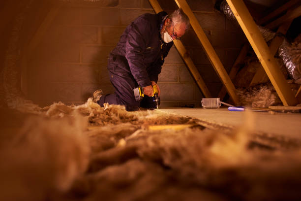 Best Energy-efficient Insulation  in Rouses Point, NY